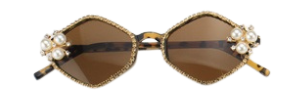 Peal Blink Women’s Sunglasses 78001RS – Elegant Oversized Fashion Shades with Sparkle Accent
