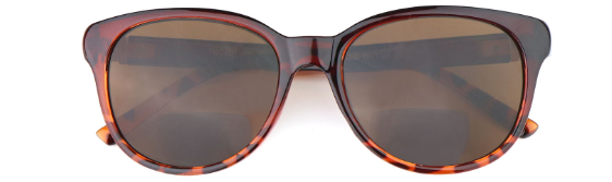 SEE THE WORLD CLEARLY: NEW EDGE EYEWEAR R508BF/T WITH VERSATILE BIFOCAL LENSES