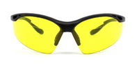 VERSATILE PROTECTION: SR2061BF/T REVERSED SUN READ GLASSES