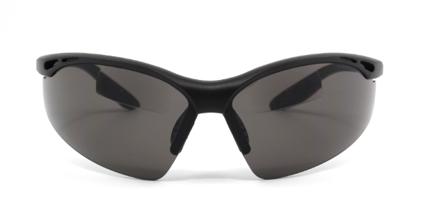 VERSATILE PROTECTION: SR2061BF/T REVERSED SUN READ GLASSES